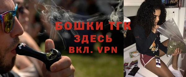 ГАЛЛЮЦИНОГЕННЫЕ ГРИБЫ Вяземский