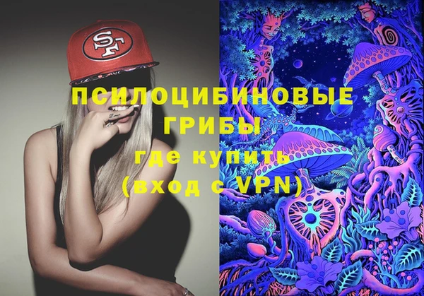 mdpv Рославль
