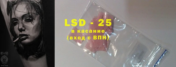 ГАЛЛЮЦИНОГЕННЫЕ ГРИБЫ Вяземский