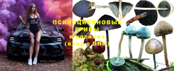 mdpv Горнозаводск